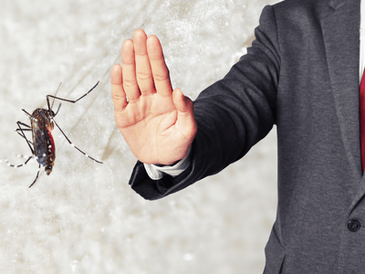 About Lynchburg Roach Exterminators Pros - german roach extermination lynchburg va experts in Lynchburg