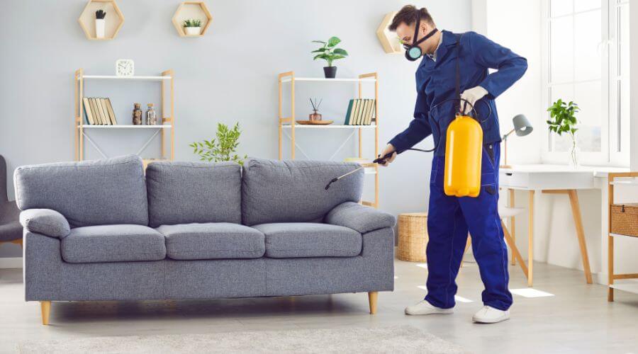 Why choose Lynchburg Roach Exterminators Pros for german roach extermination lynchburg va in Lynchburg